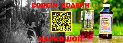 индика Беслан