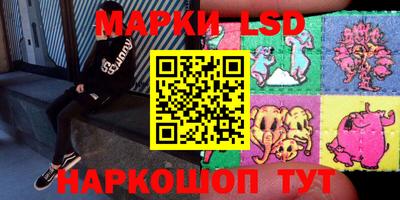 индика Беслан