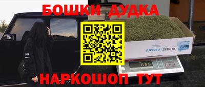 индика Беслан