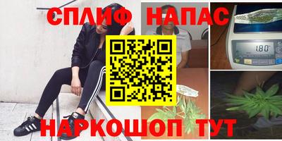 индика Беслан