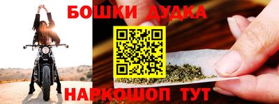индика Беслан