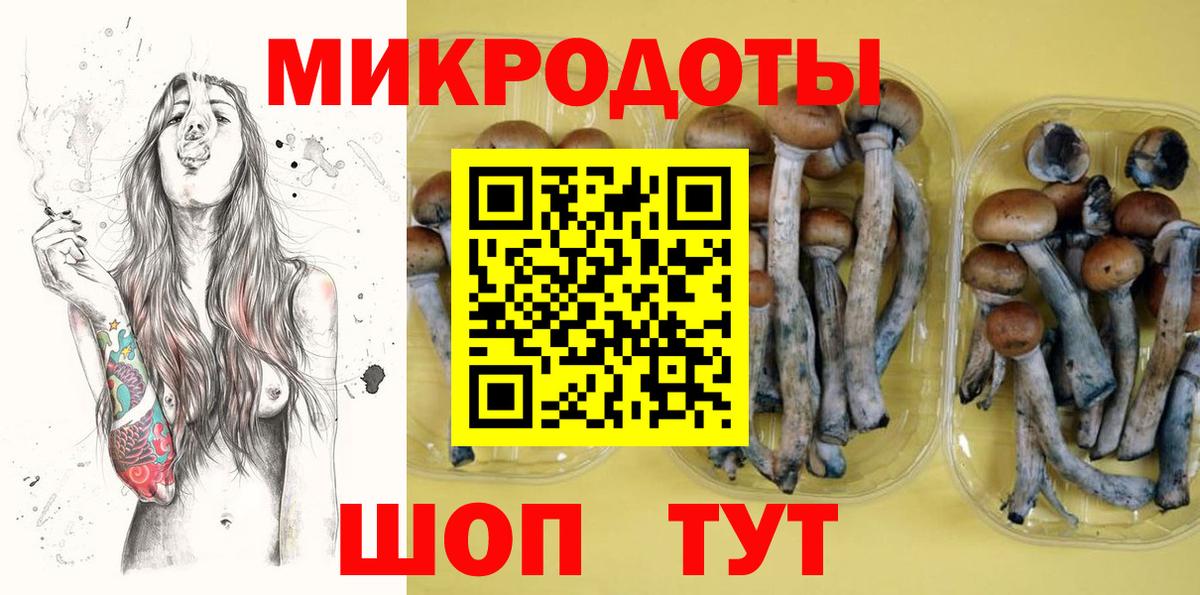 Галлюциногенные грибы Cubensis  закладка  Зеленодольск  Вход с VPN 